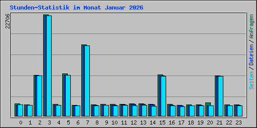 Stunden-Statistik im Monat Januar 2026