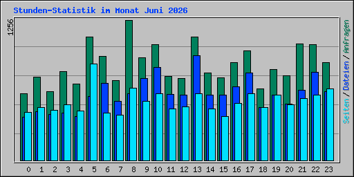 Stunden-Statistik im Monat Juni 2026